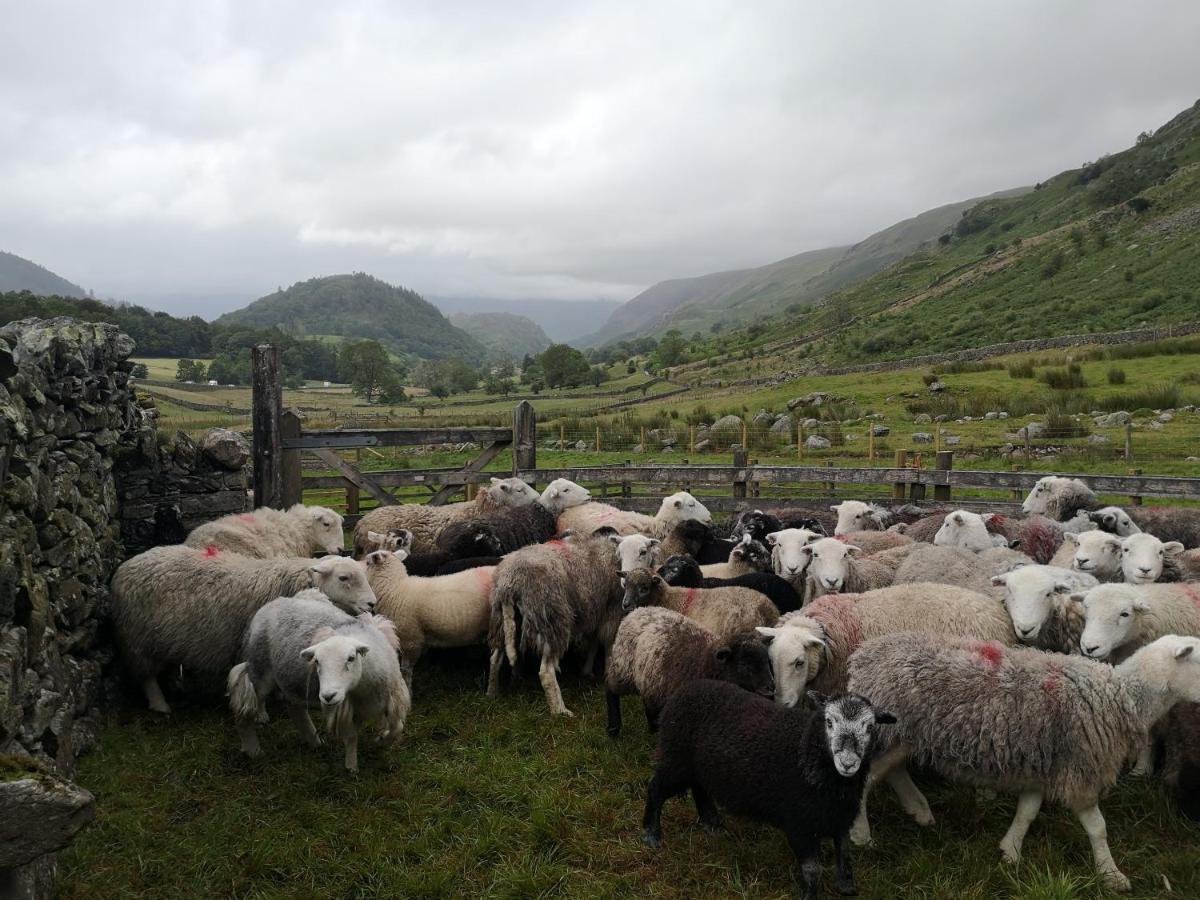 Stybeck Farm Villa Thirlmere Eksteriør billede